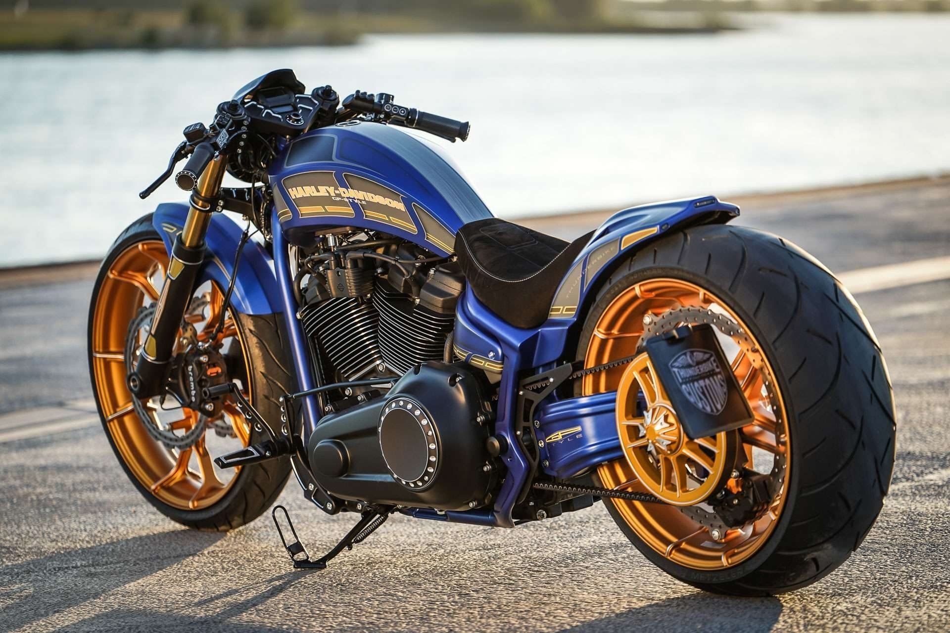 Harley Davidson Softail Thunderbike