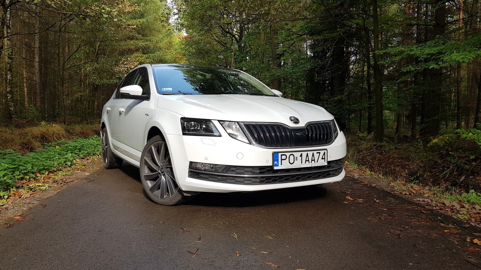 Шкода а7 1.6. Шкода Октавия а8 белая. Skoda Octavia a7 FL белая. Шкода Октавия а7 FL. Skoda Octavia a7 дорестайл.