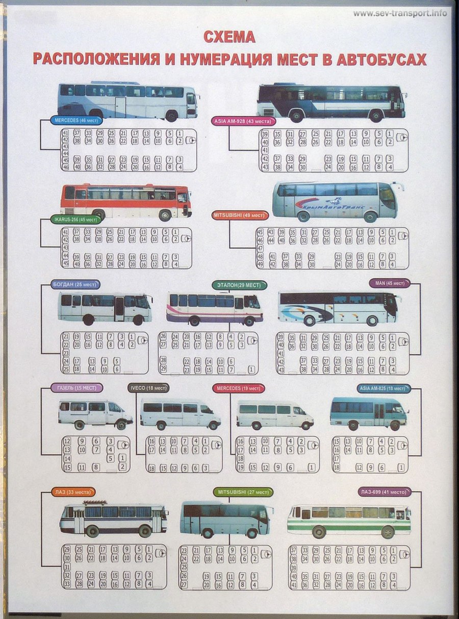 Места автобуса схема 49 мест