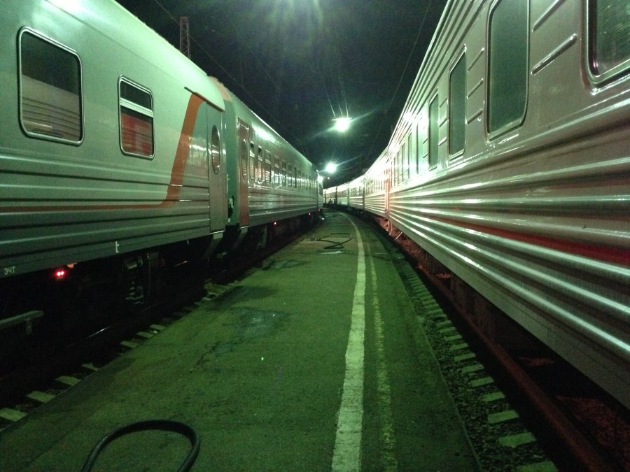 Сапсан плацкарт