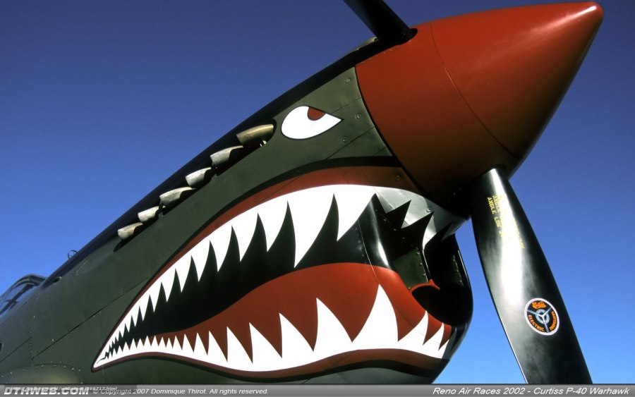 P40 Mustang