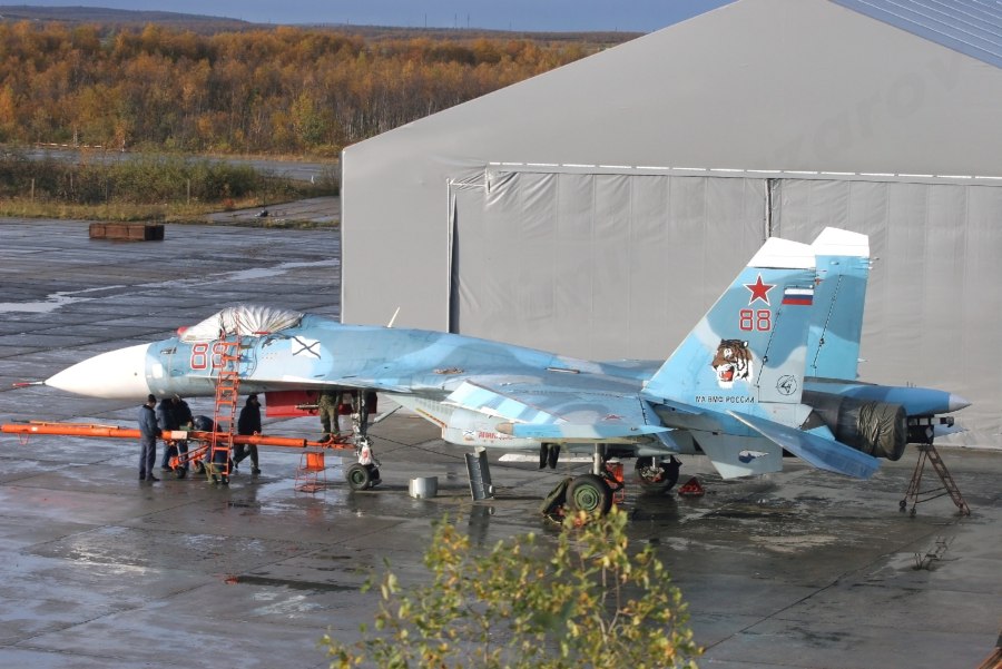Самолёт Су-33куб