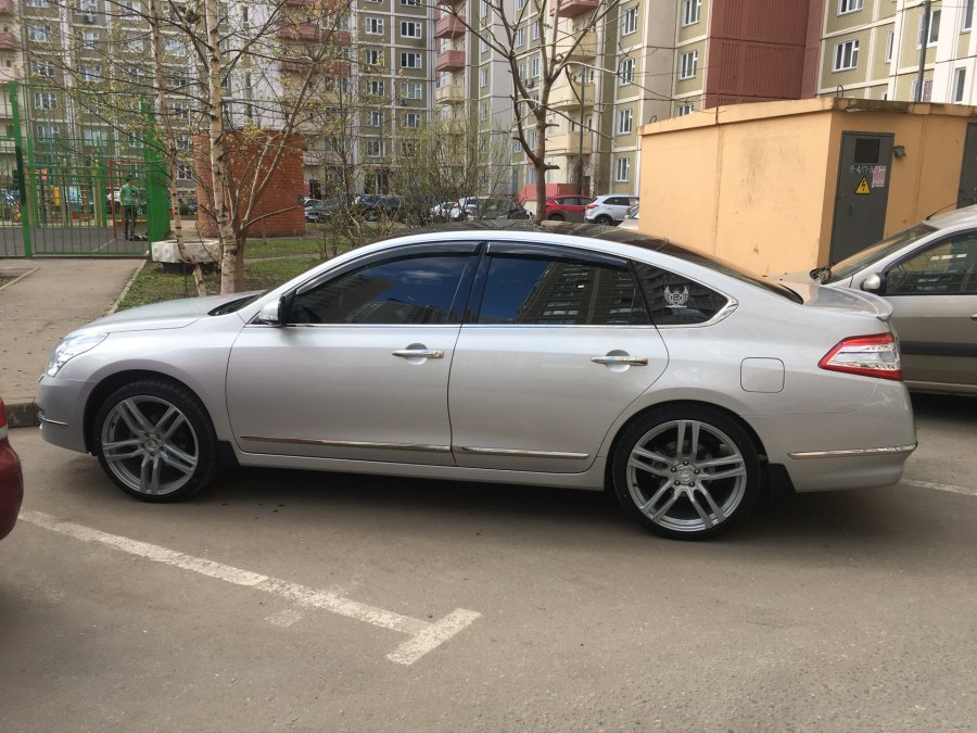 Серебристая Теана r20