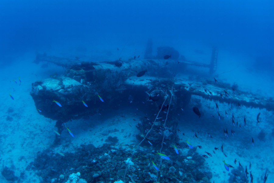 Карибское море Бермудский треугольник