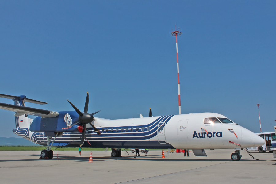 DHC 300