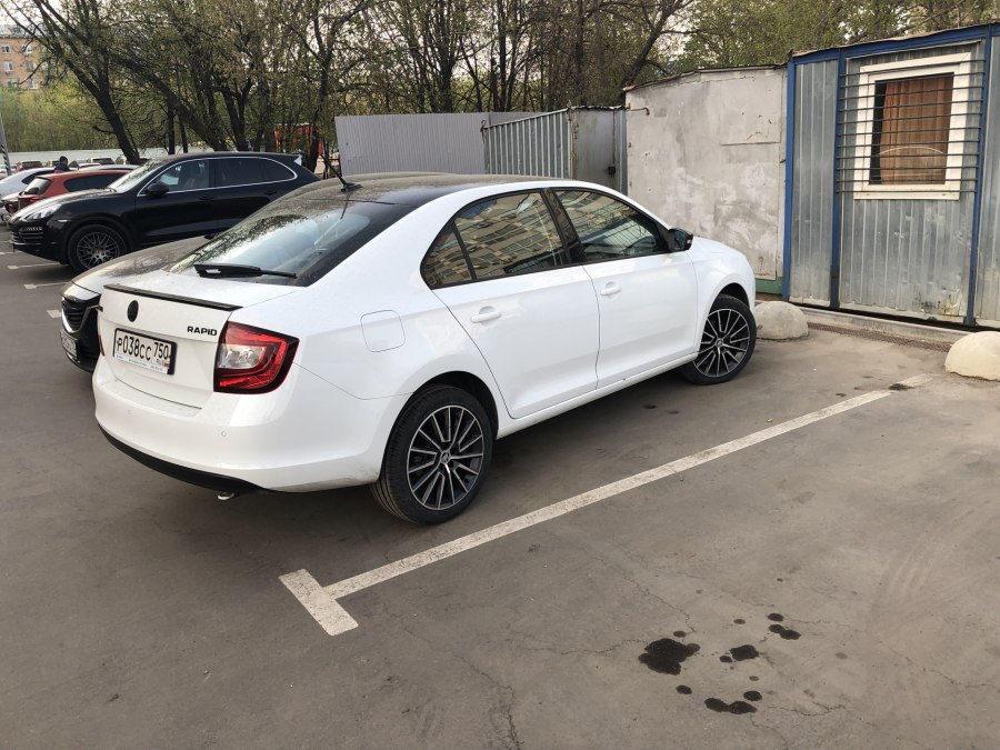Октавия а7 r19