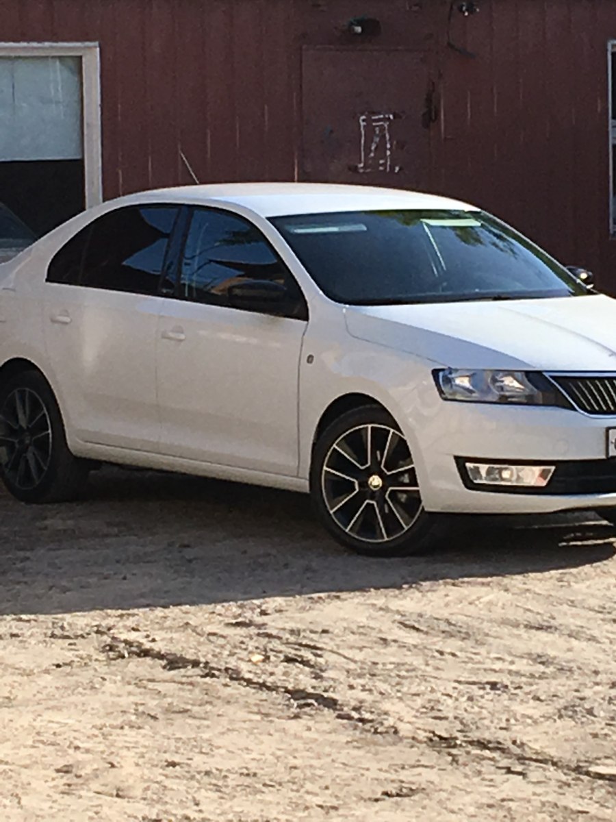 Rapid Savio r17
