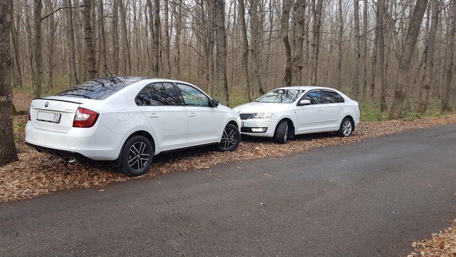 Skoda Octavia, 2013 коричневый