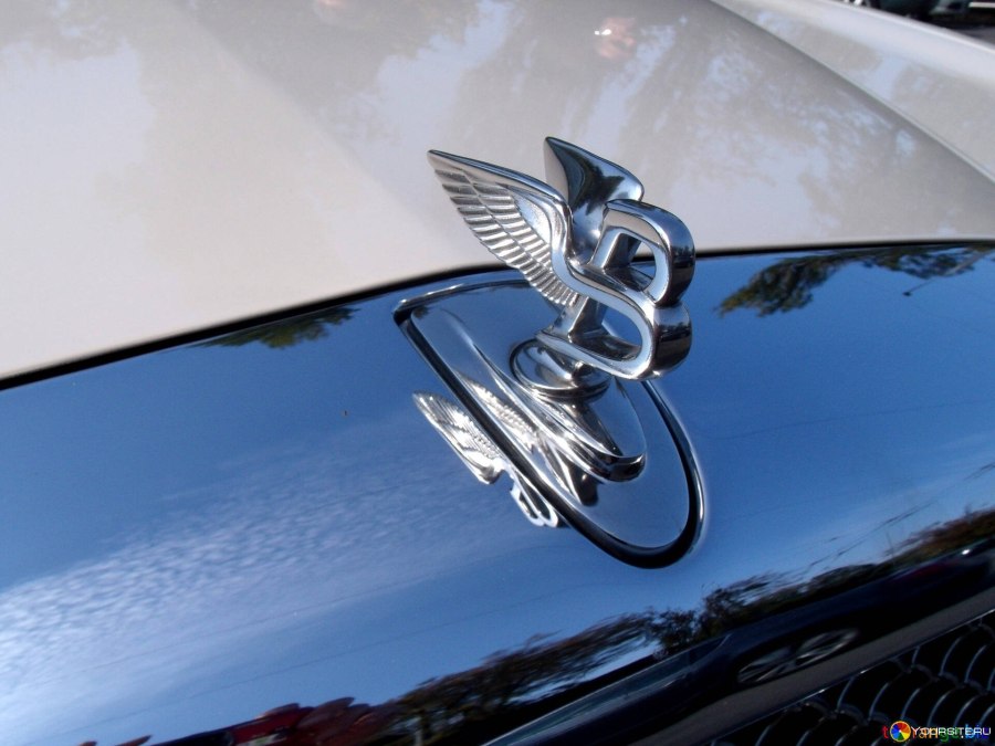 Hyundai Equus Emblem
