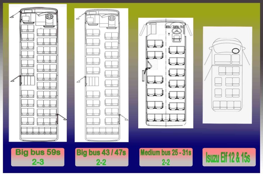 Neoplan 49 мест