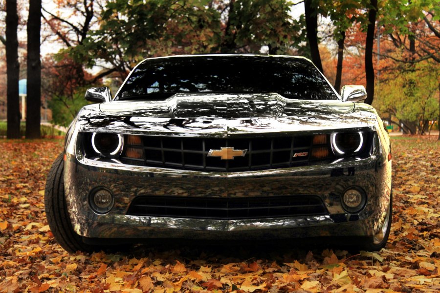 Форд Мустанг gt 500