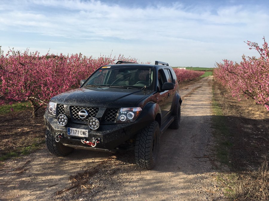 Nissan Pathfinder r51