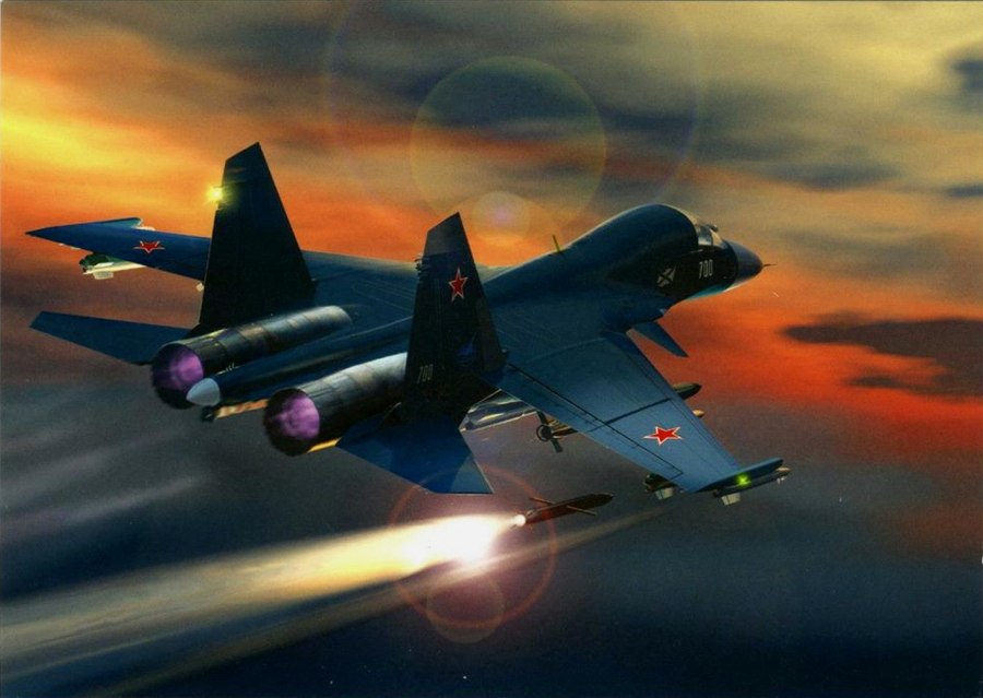Су 35 вид сбоку