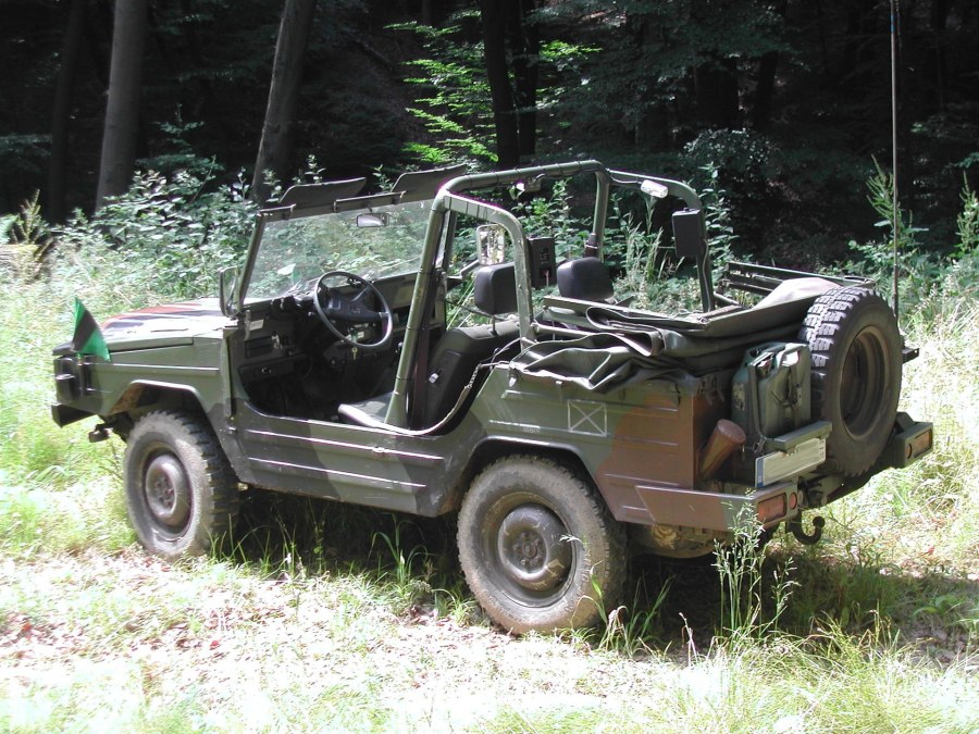 FW Iltis