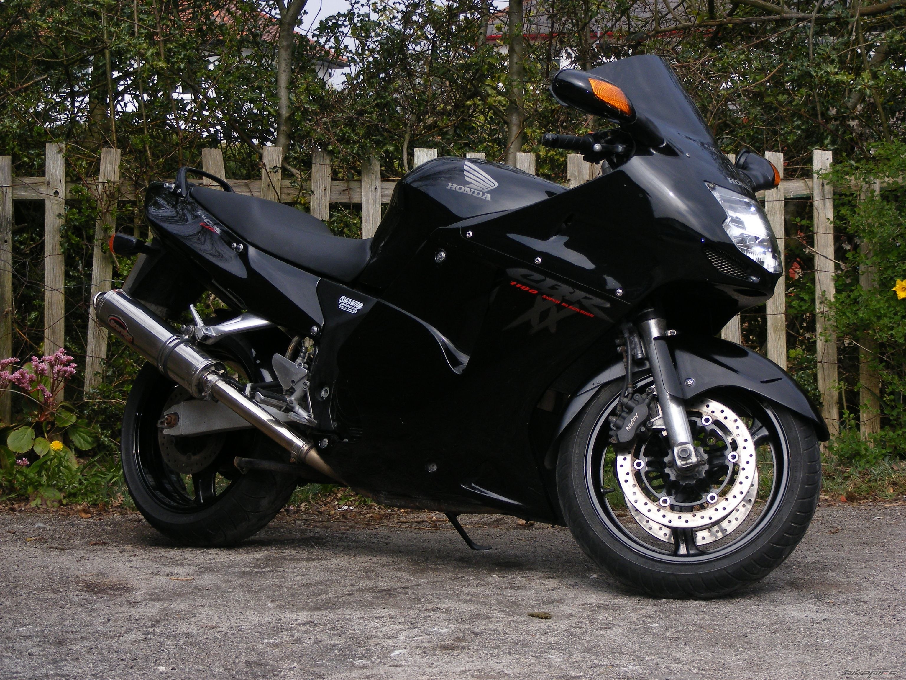 Honda CBR 1100 Blackbird черный