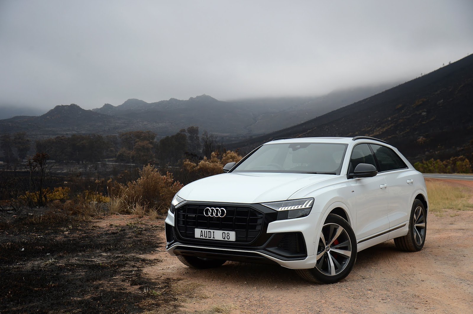 White 8. Audi q8 белая. Audi q8 White s line. Audi q8 2020 White. Audi q8 2019 белая.