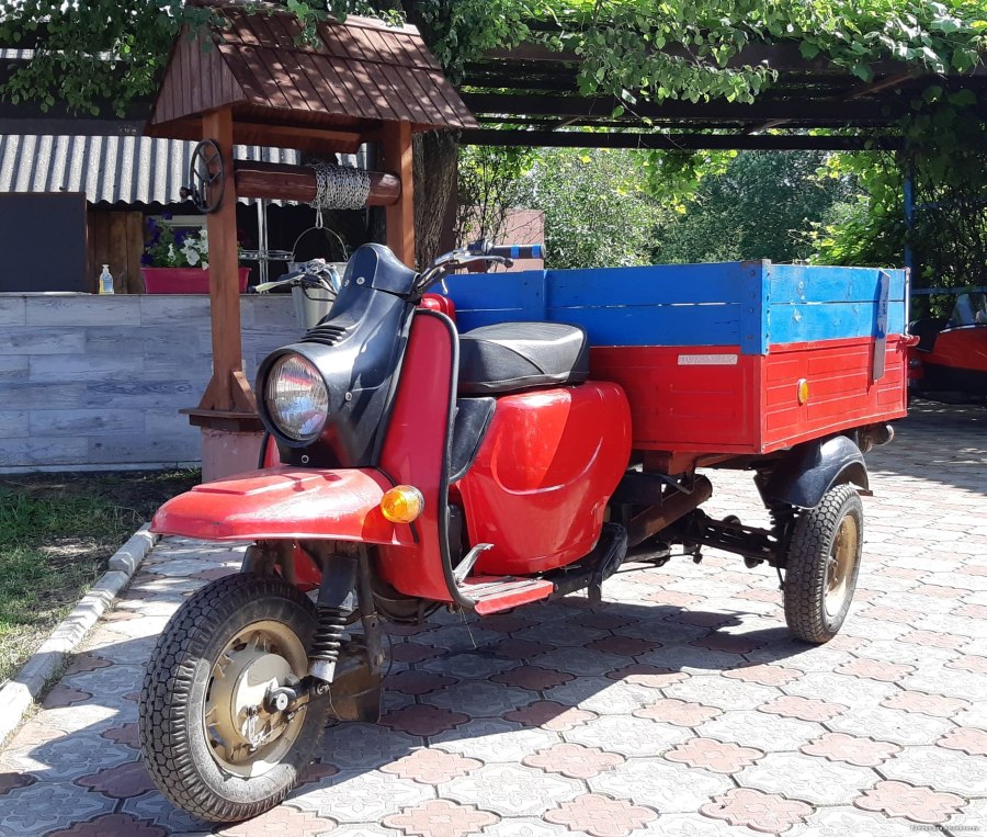 Муравей Тула