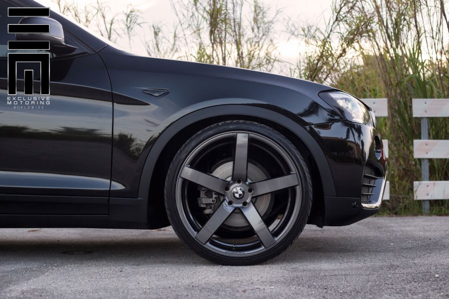 Vossen cv3