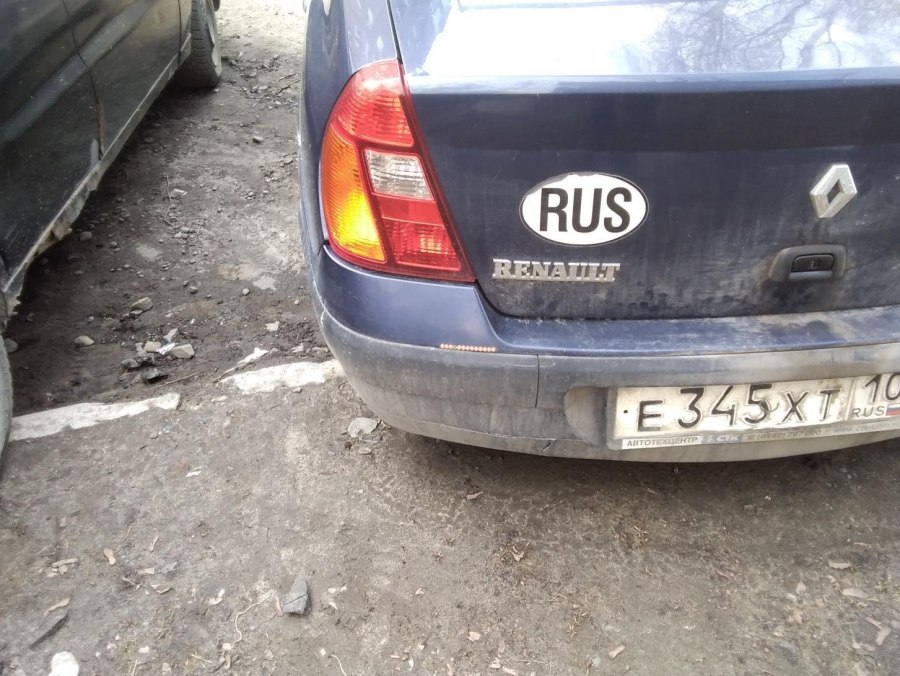 Рено с волосами фото прикол