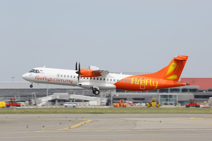 Malaysia Firefly