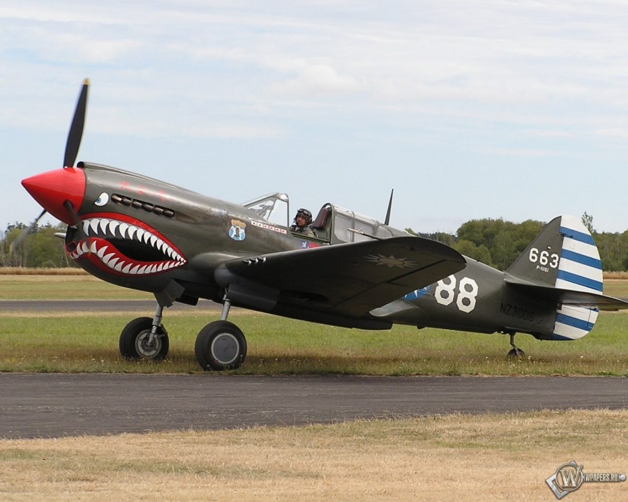 Curtiss p-40 в СССР