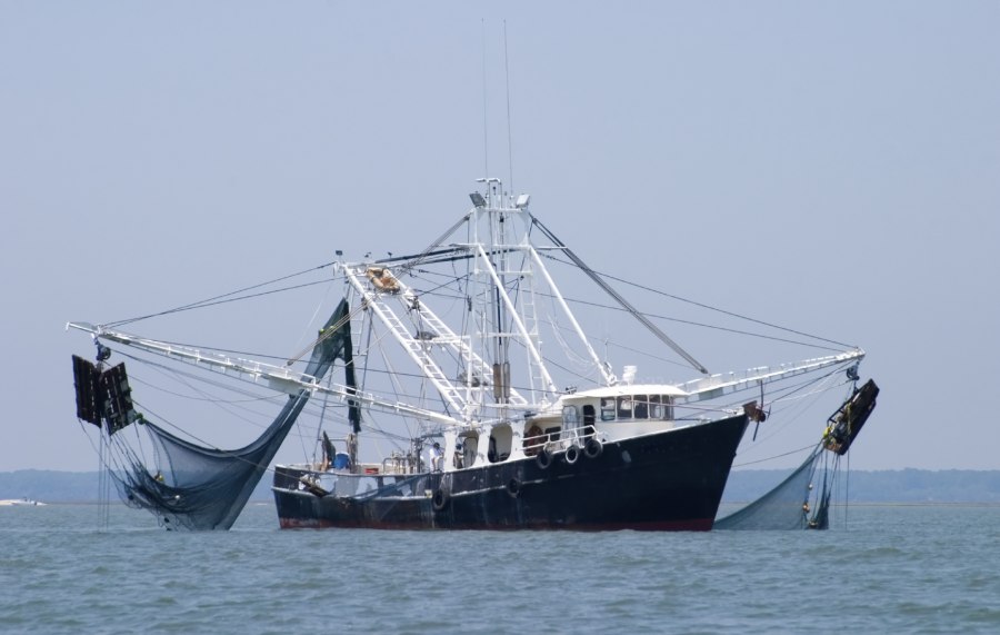 Рыболовное судно (Fishing Vessel)