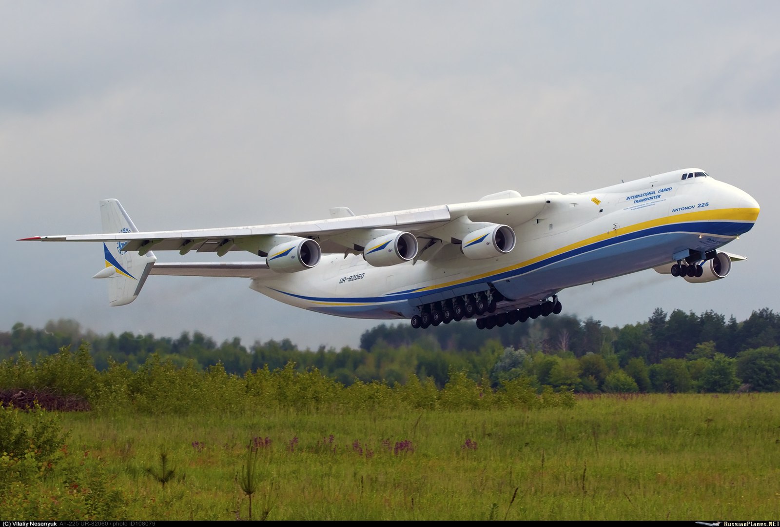 Покажи мрия. Ан-225 мрия. Ан-225 «мрия» (мечта). Украинский самолет мрия фото. Покажи мрия.