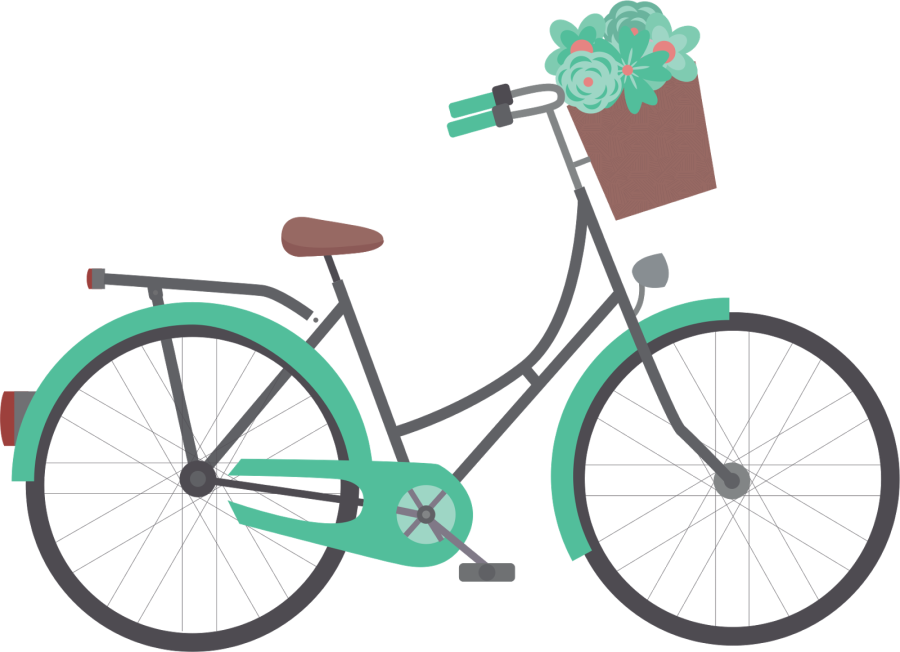 Горный (MTB) велосипед Schwinn Mesa Comp (2012)
