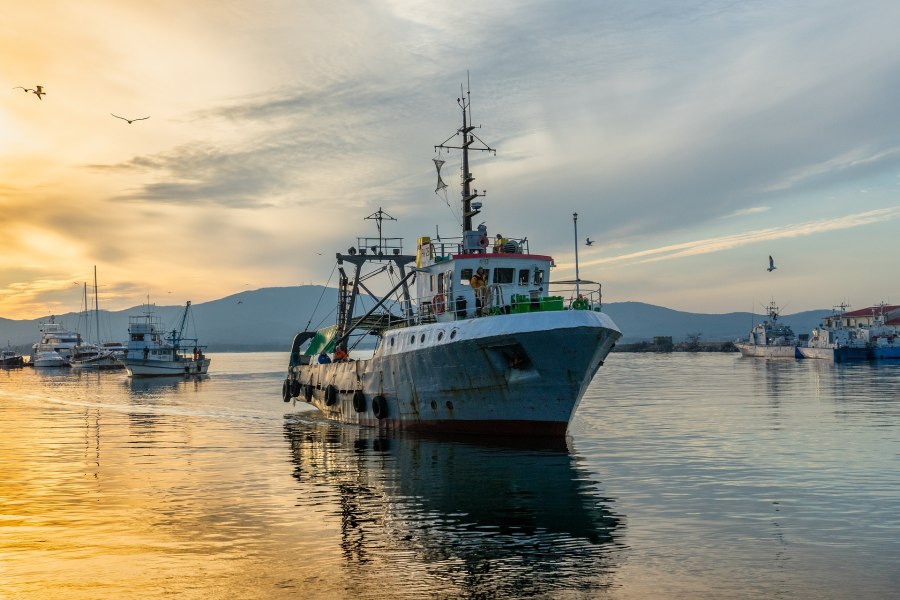 Рыболовное судно (Fishing Vessel)