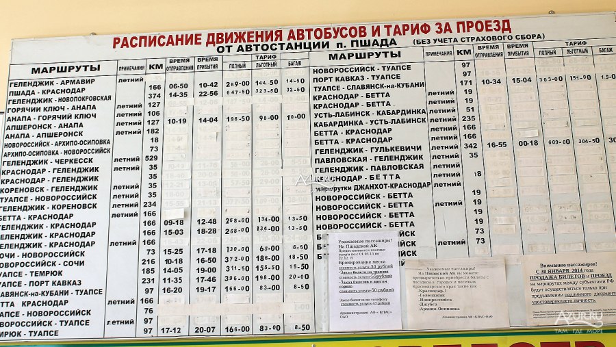 Автобус Бетта Пшада
