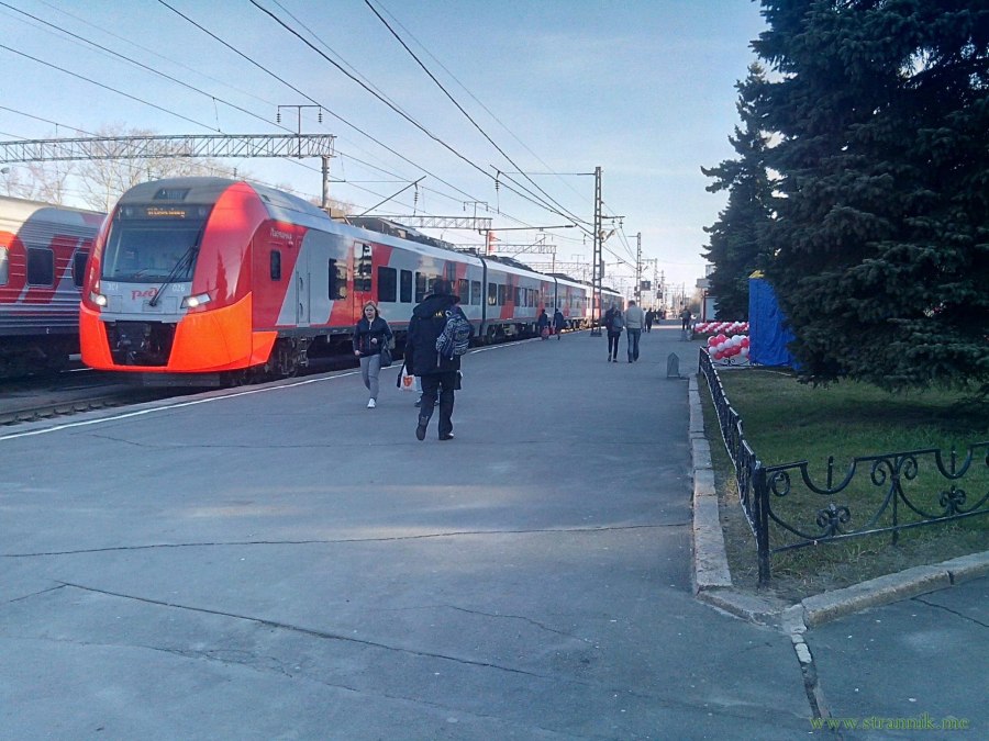 Поезд Ласточка Санкт-Петербург Петрозаводск
