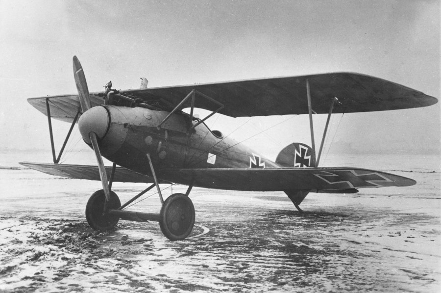 Альбатрос d-1