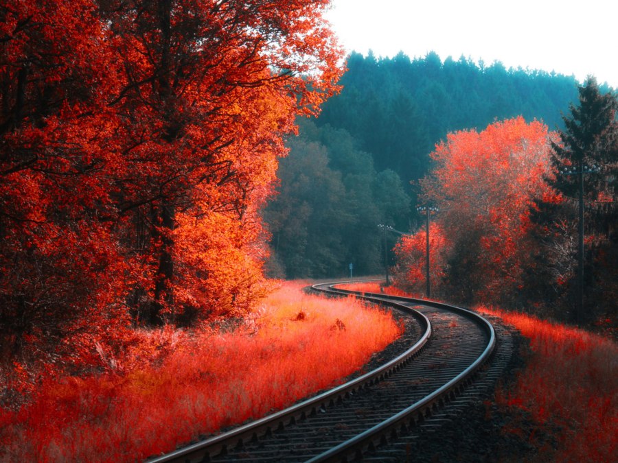 Тепловоз в лесу