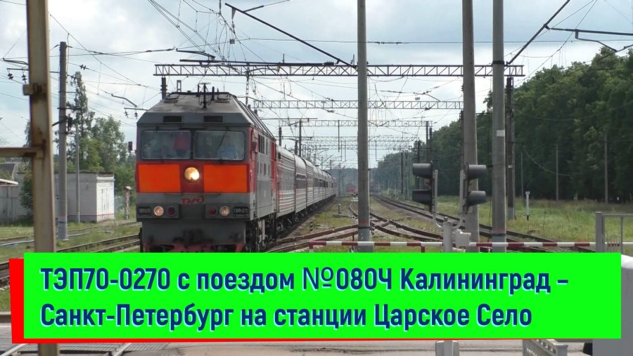 Тоннели Калининград Сельма