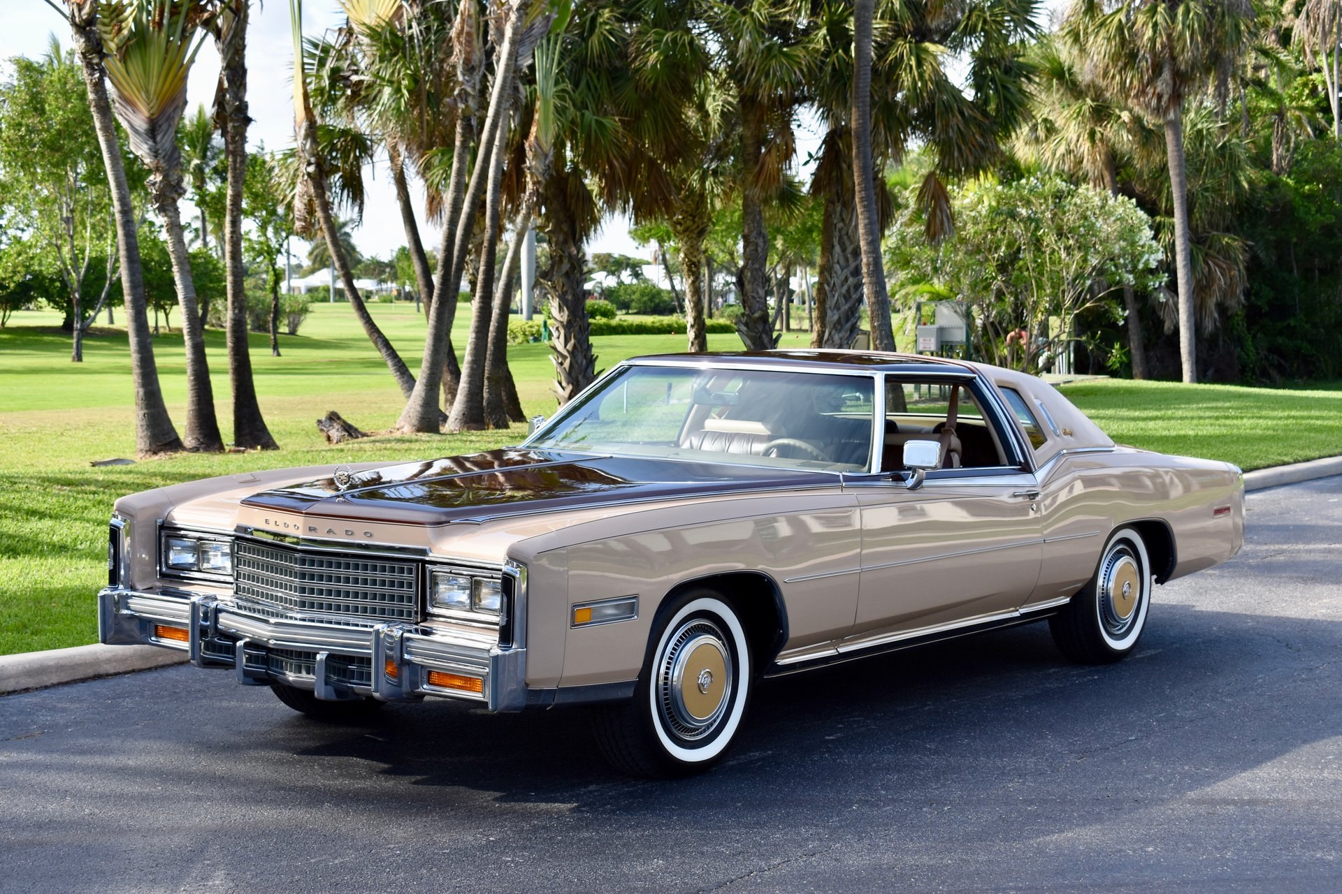 Cadillac 1978 Diamond