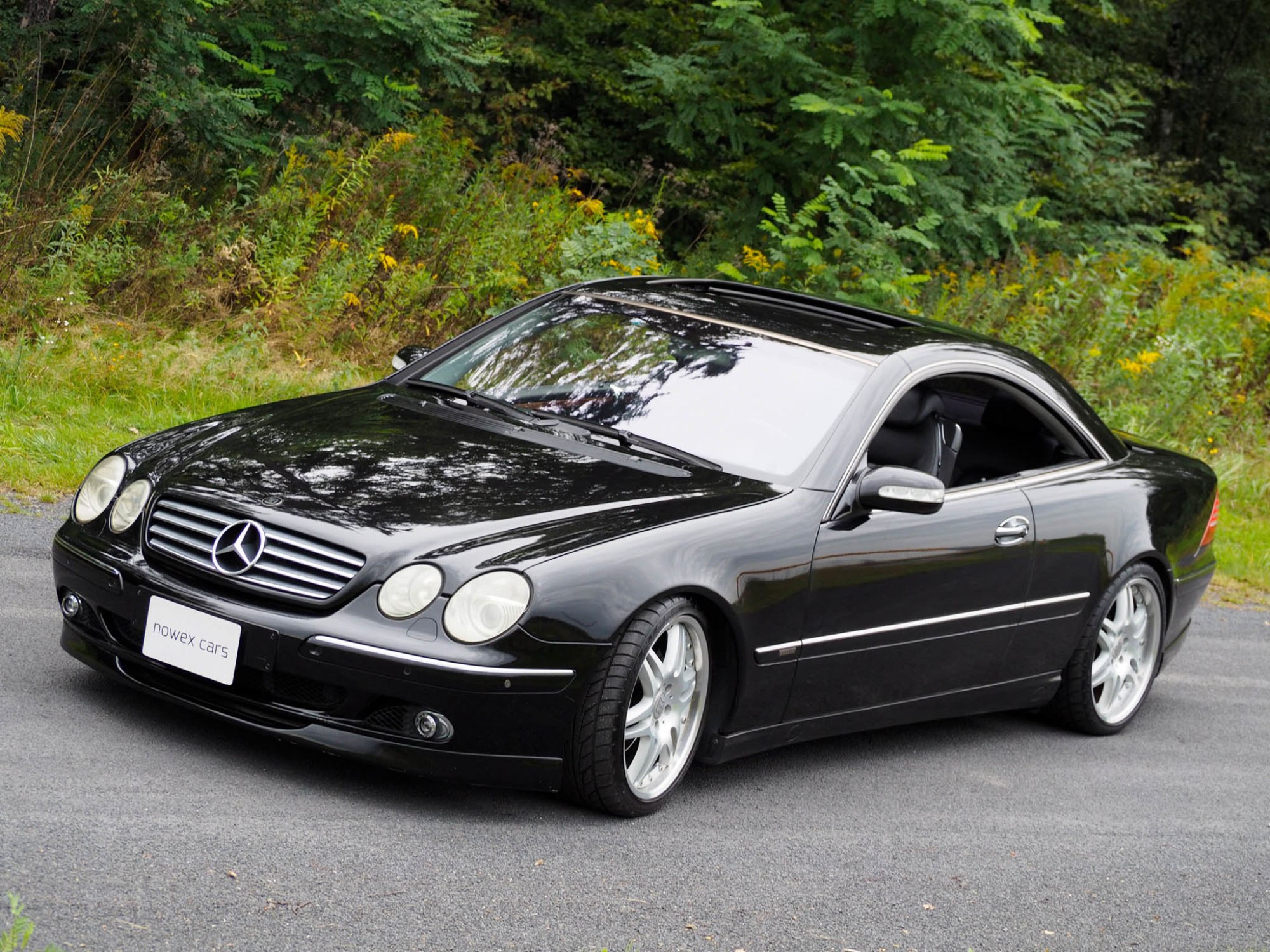 Mercedes Benz CL 215 stance