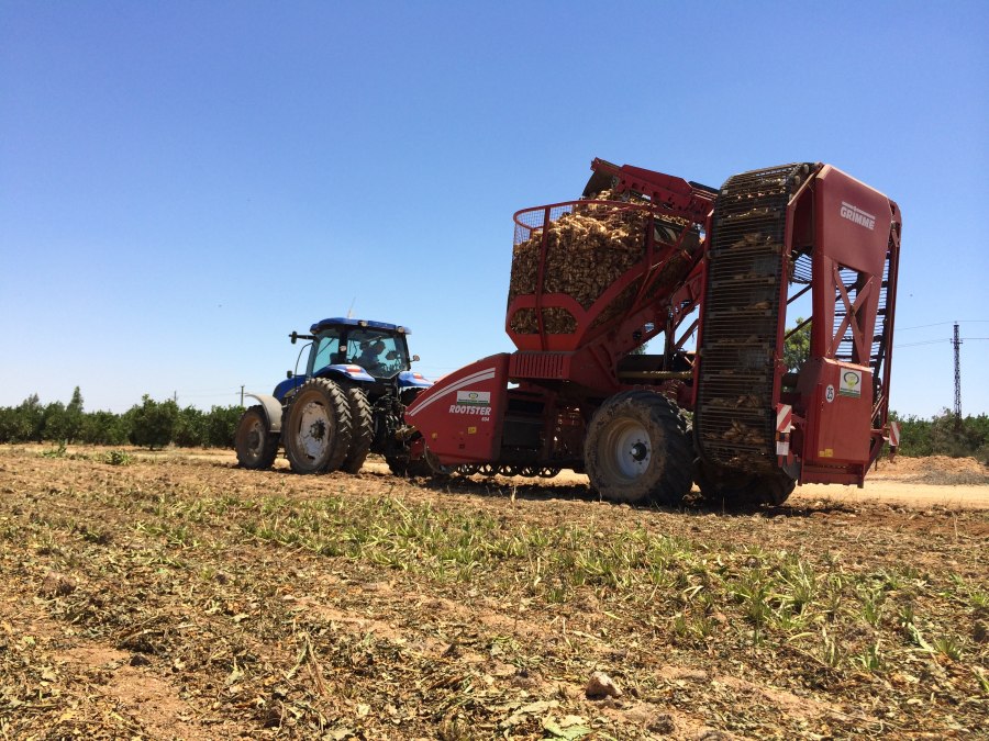 Holmer Terra dos t4-30