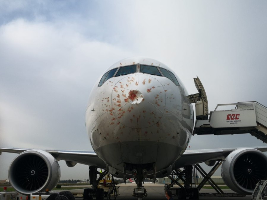 Boeing 777-300er Turkish Airlines салон