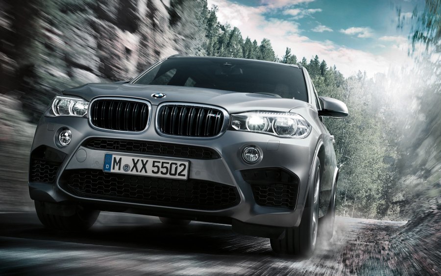 BMW x5 e53 2017
