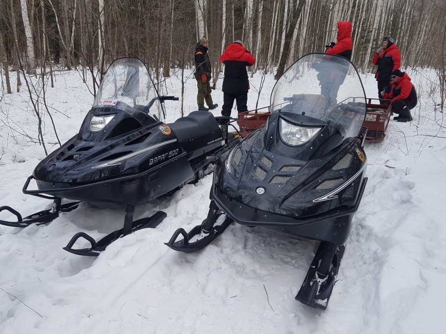 Снегоход Рысь 550
