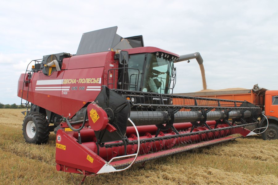 Палессе gs3219