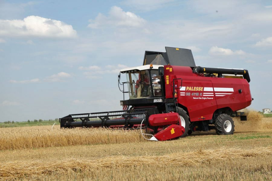 Палессе gs2124