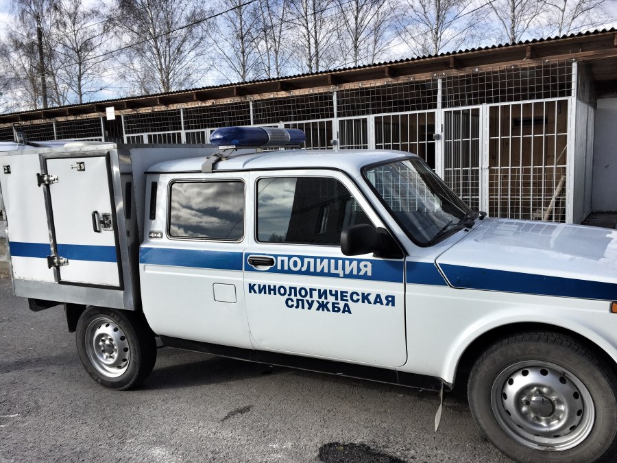 Проблесковый маячок скорой помощи