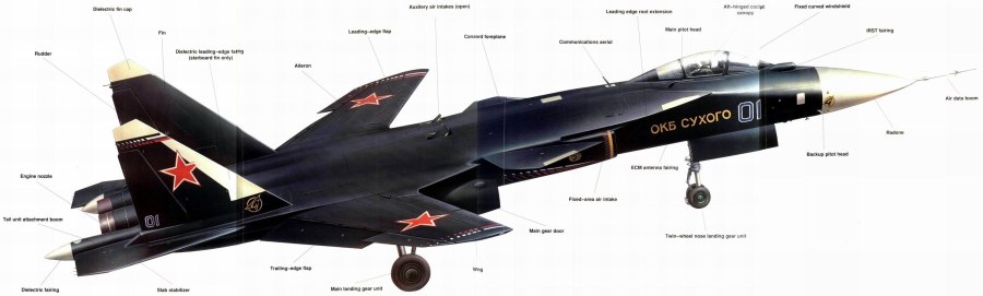 Самолет с обратной стреловидностью крыла Су-47
