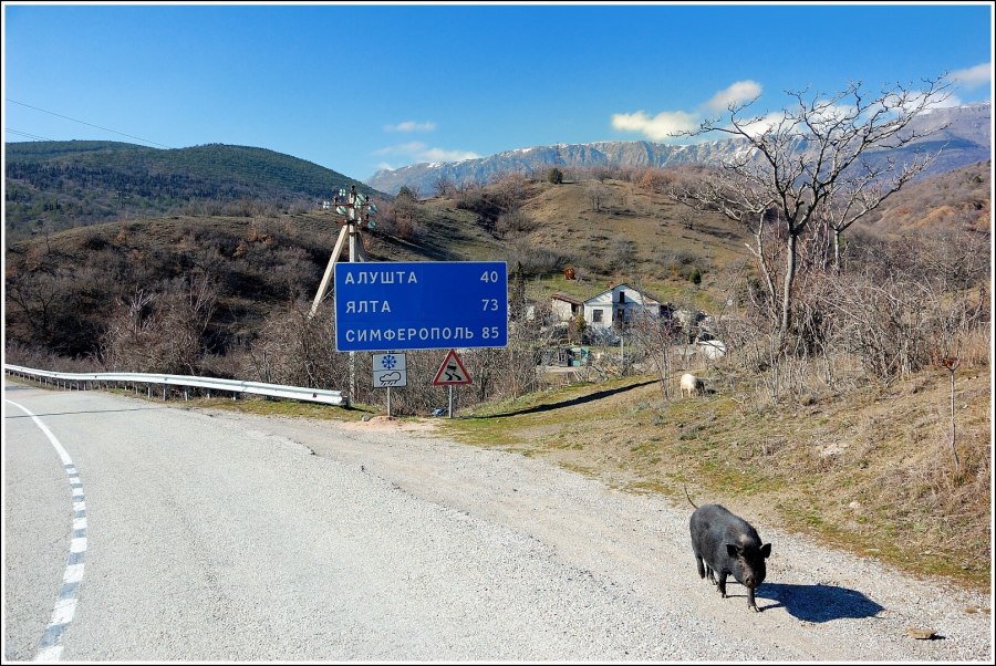 Троллейбусная трасса «Симферополь – Алушта – Ялта»