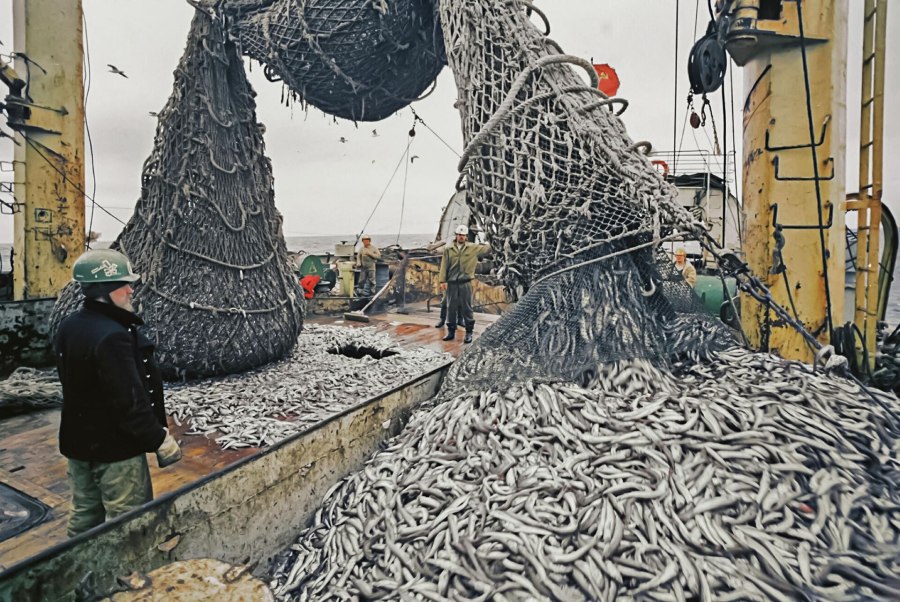 Траловый флот промысел рыбы в море