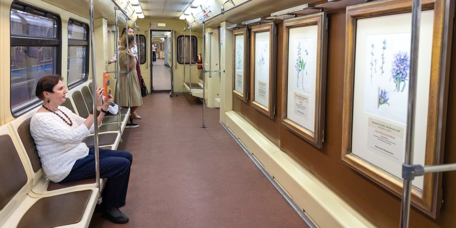 Купе 2к ФПК