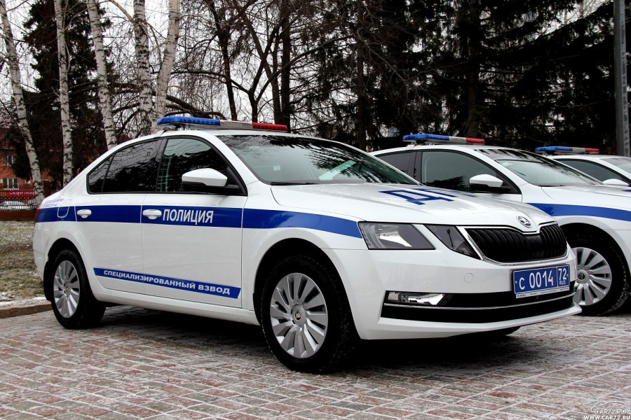 Škoda Octavia ДПС