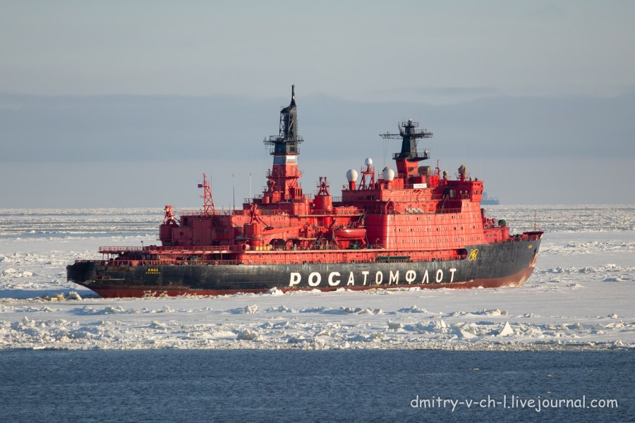 Арктика Трешников