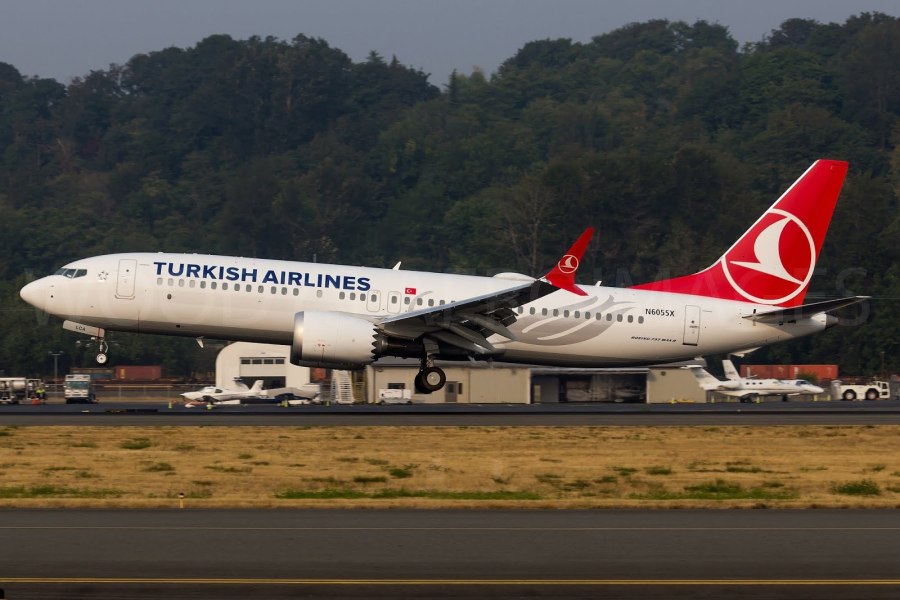 Turkish Airlines самолеты